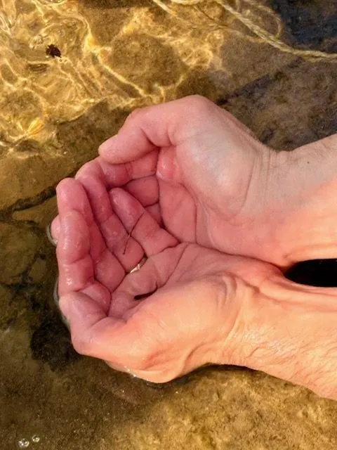 fischen16
