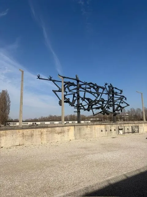 d6