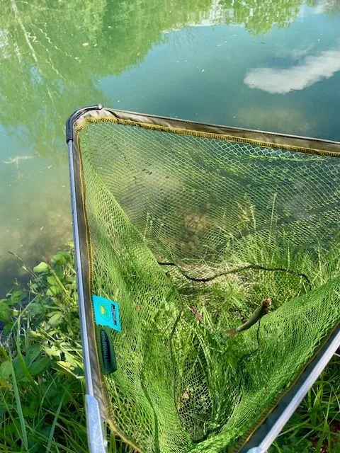 fischen12